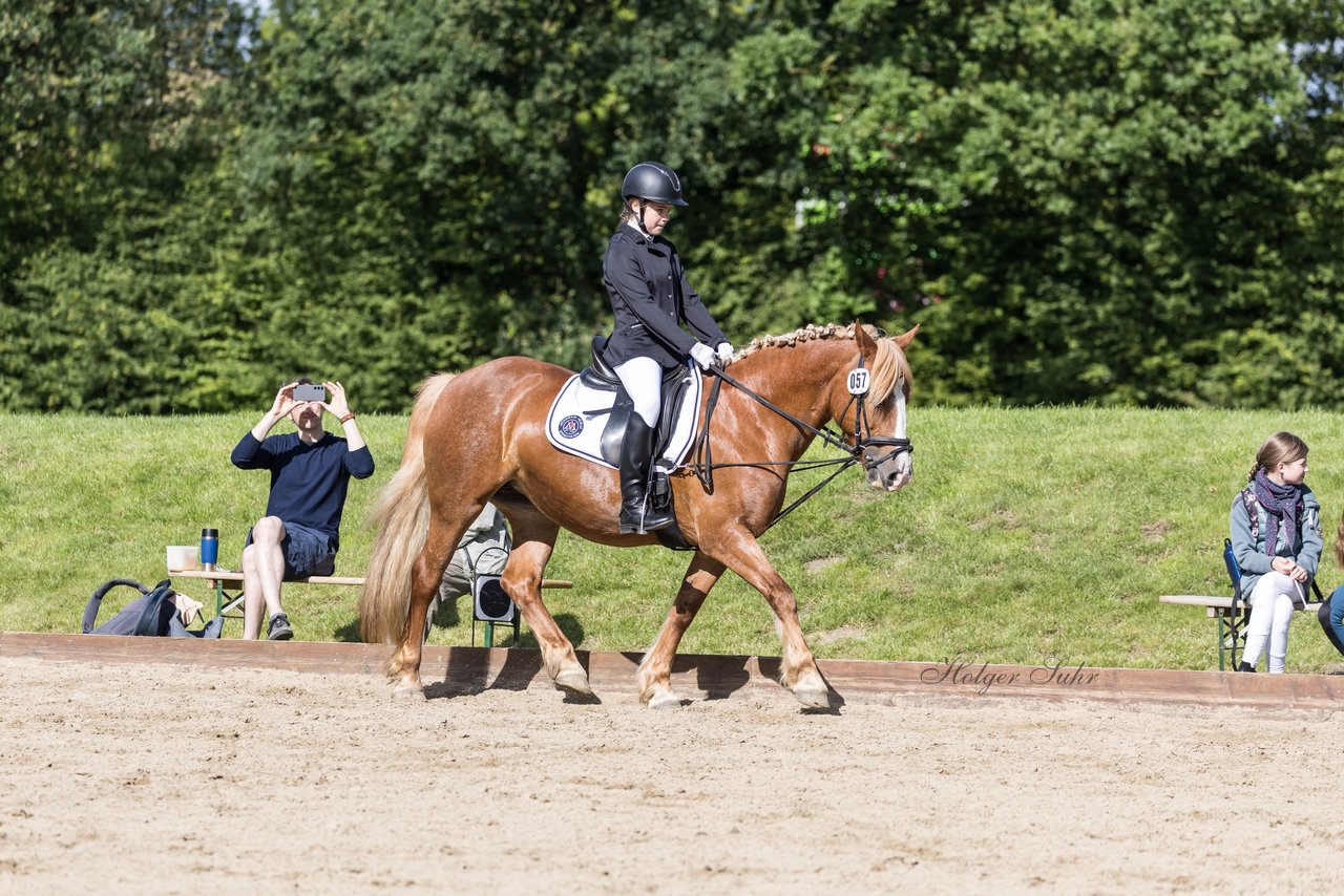Bild 59 - Pony Akademie Turnier